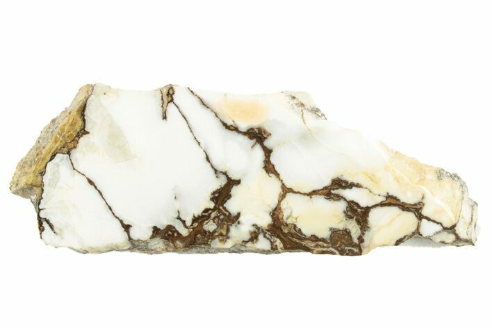 Polished Wild Horse Magnesite Slice - Arizona #264039